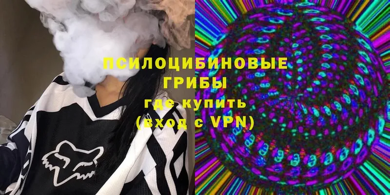 Галлюциногенные грибы Psilocybine cubensis  Ковдор 